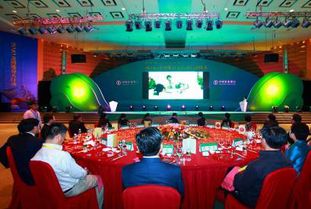 廣西專業(yè)婚慶策劃主持哪家好？非凡婚慶活動(dòng)策劃全方位解析