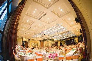 大慶藝群婚慶 以專業匠心，雕琢您的豪華婚禮夢想